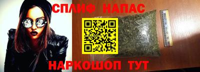 ALPHA PVP Гусев