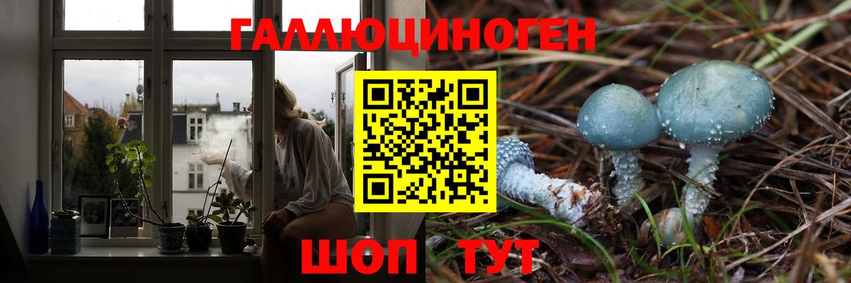 Темрюк  Галлюциногенные грибы Cubensis  Вход с VPN  Псилоцибиновые грибы мухоморы 